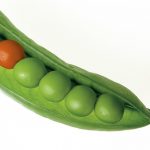 Are all peas the same? Make a difference with IT to suit your individual organisation